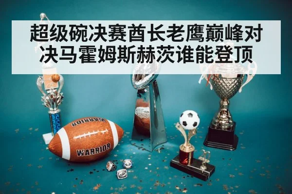 超级碗决赛酋长老鹰巅峰对决马霍姆斯赫茨谁能登顶